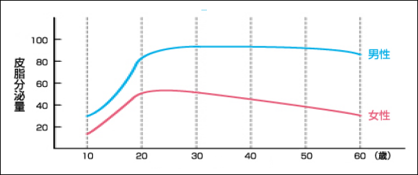 男性と女性の皮脂量