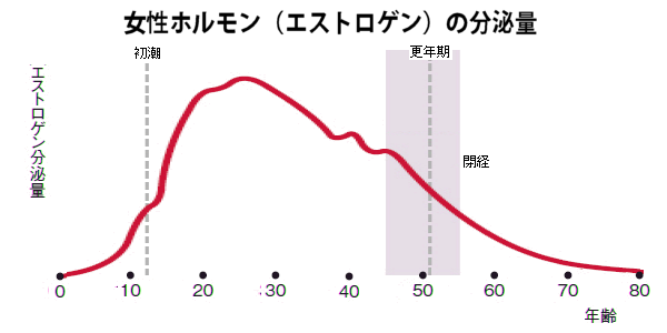 エストロゲンの分泌量推移