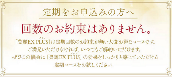 豊麗EX PLUSのスムースポリテイン