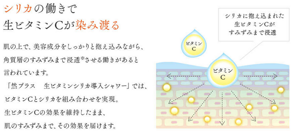 然プラスのビタミンC浸透技術