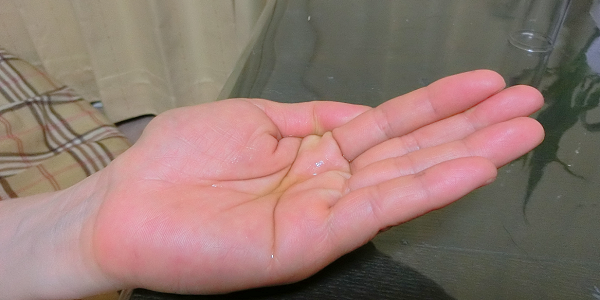 然プラスの使用感