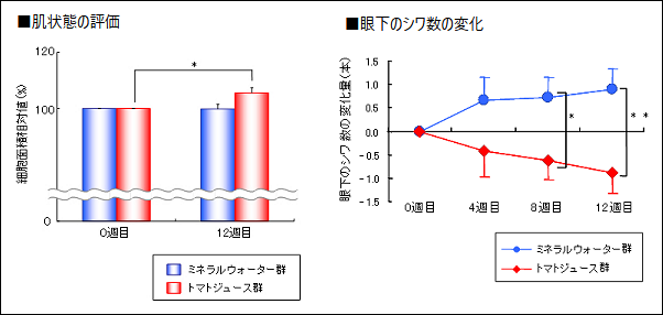 トマトジュース摂取による肌変化